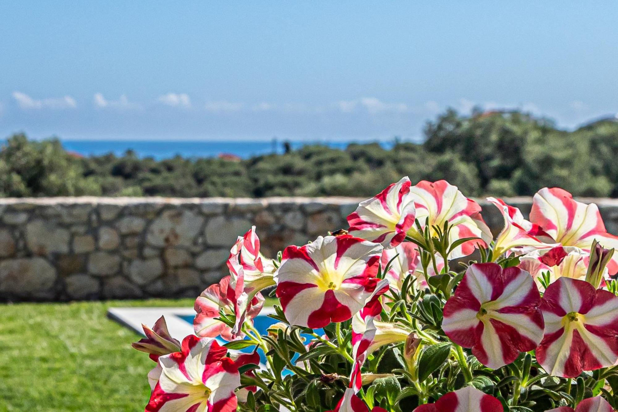 Penelope Galatas (Chania)